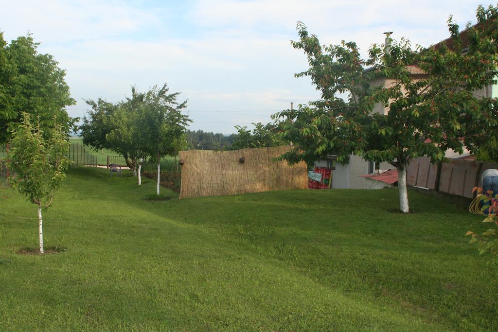 Guest House Edelvais Dve Mogili Esterno foto