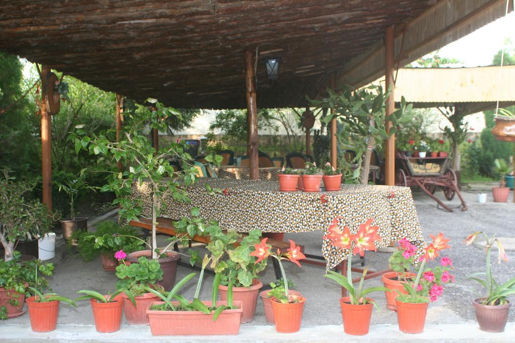 Guest House Edelvais Dve Mogili Esterno foto